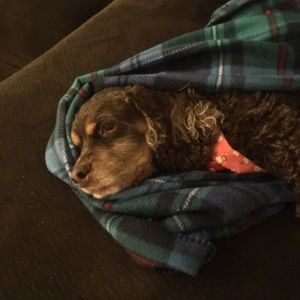 Meet your Posher, Vanessa